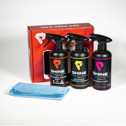 PACK NOËL - ENTRETIEN AUTO