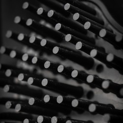 Brosse poils Animaux