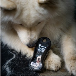 Brosse poils Animaux